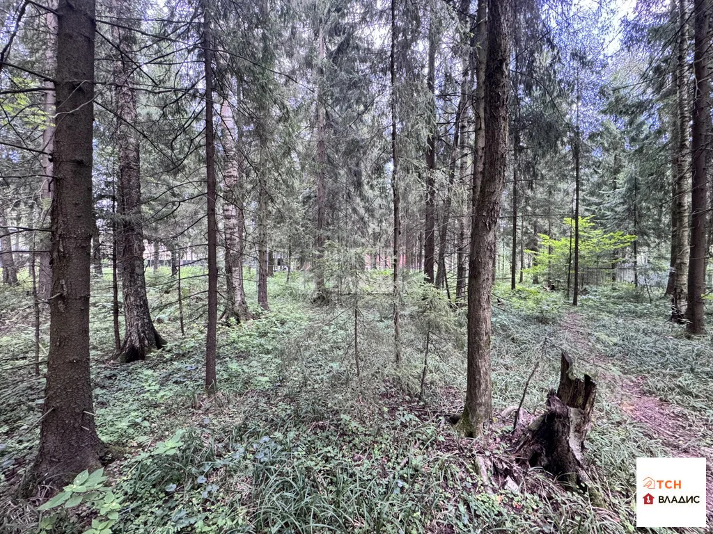 Продажа участка, Могильцы, Лотошинский район - Фото 3