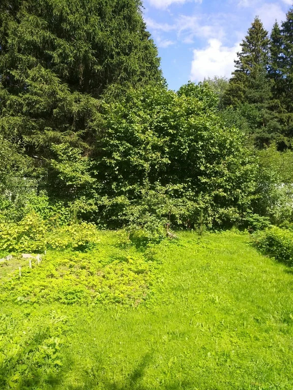 Продажа участка, Лобня, Кооперативная улица - Фото 1