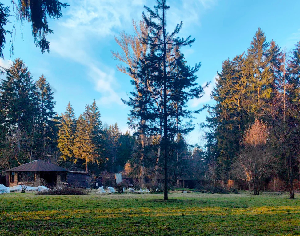 Продажа участка, Апрелевка, Наро-Фоминский район, ул. Кутузова - Фото 38