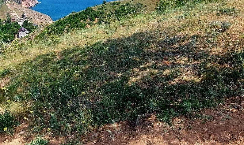 Продажа участка, Севастополь, улица Фортификационная - Фото 2