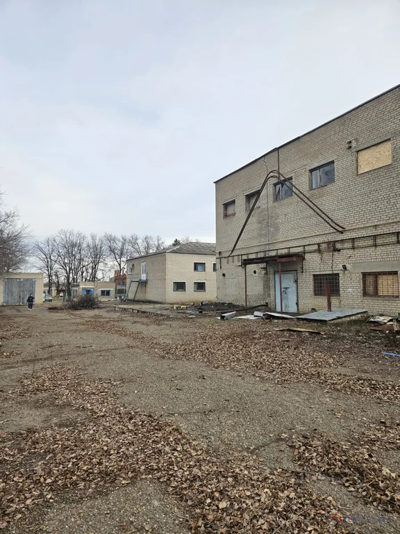 Продажа производственного помещения, Гулькевичи, Гулькевичский район, ... - Фото 1