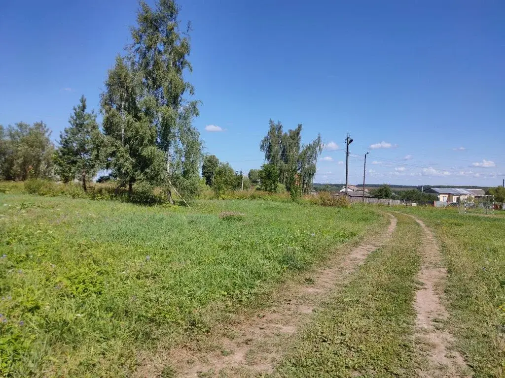 Продажа участка 12.0 сот. Тульская область, Алексин городской округ, ... - Фото 10