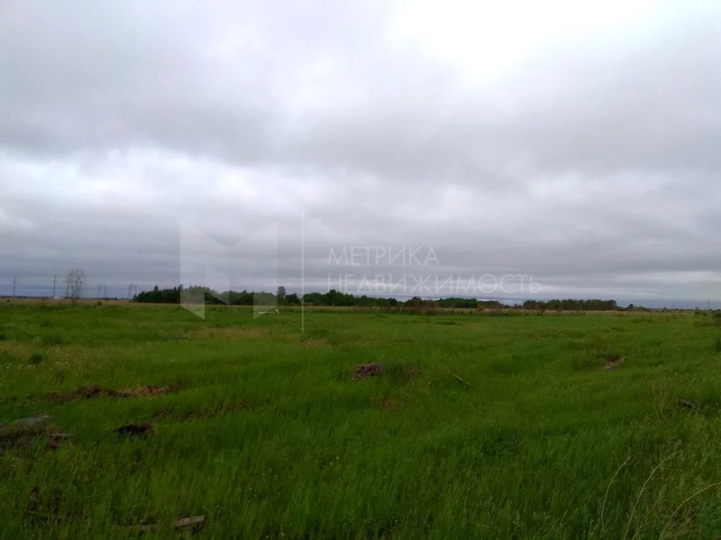 Продажа земельного участка, Тюмень, г Тюмень - Фото 2