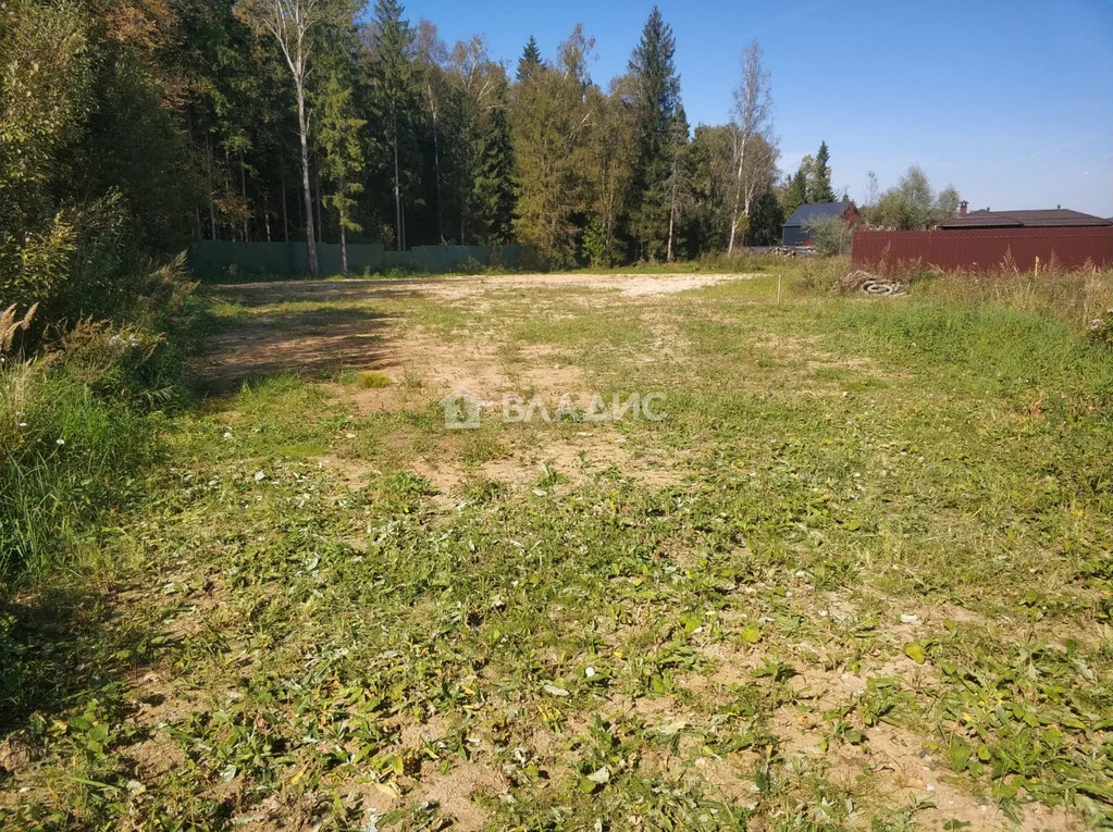 Наро-Фоминский городской округ, деревня Жёдочи, территория КП Усадьба ... - Фото 4