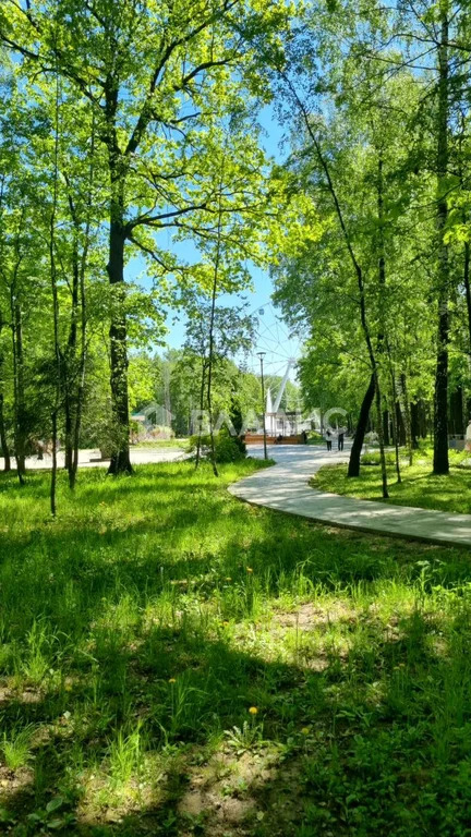 городской округ Химки, Химки, улица Юннатов, д.3, 3-комнатная квартира ... - Фото 15