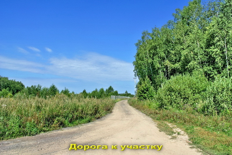 Деревня повадино солнечногорский район фото