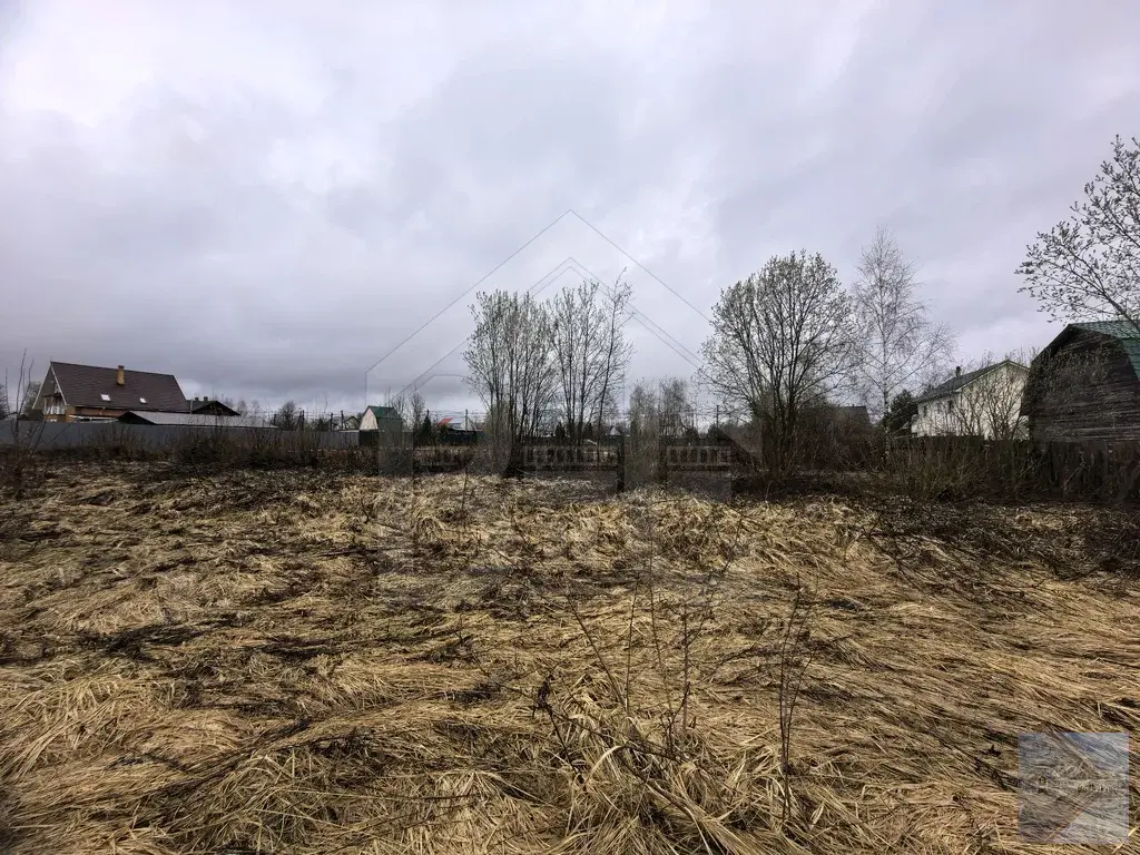 с. Степановское, участок 10 соток - Фото 4