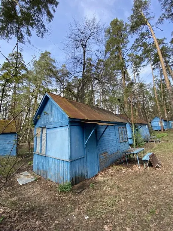 База отдыха "Голубой Залив" (Республика Татарстан, Лаишевский район) - Фото 3