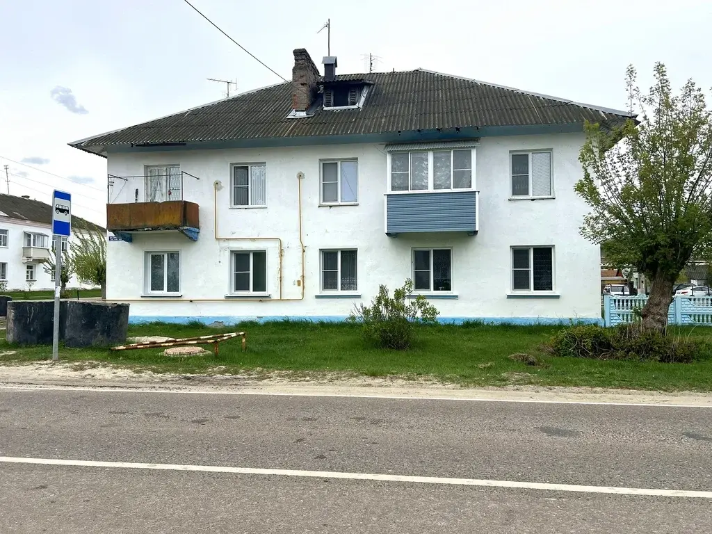 3-я квартира в п. Радовицкий, ул. Центральная, дом 15/1 - Фото 24
