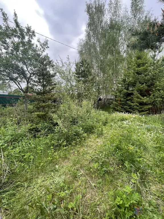 Продаю дачу 60 кв. м СНТ «Плутон», рядом с д. Волково Ступинский район - Фото 12