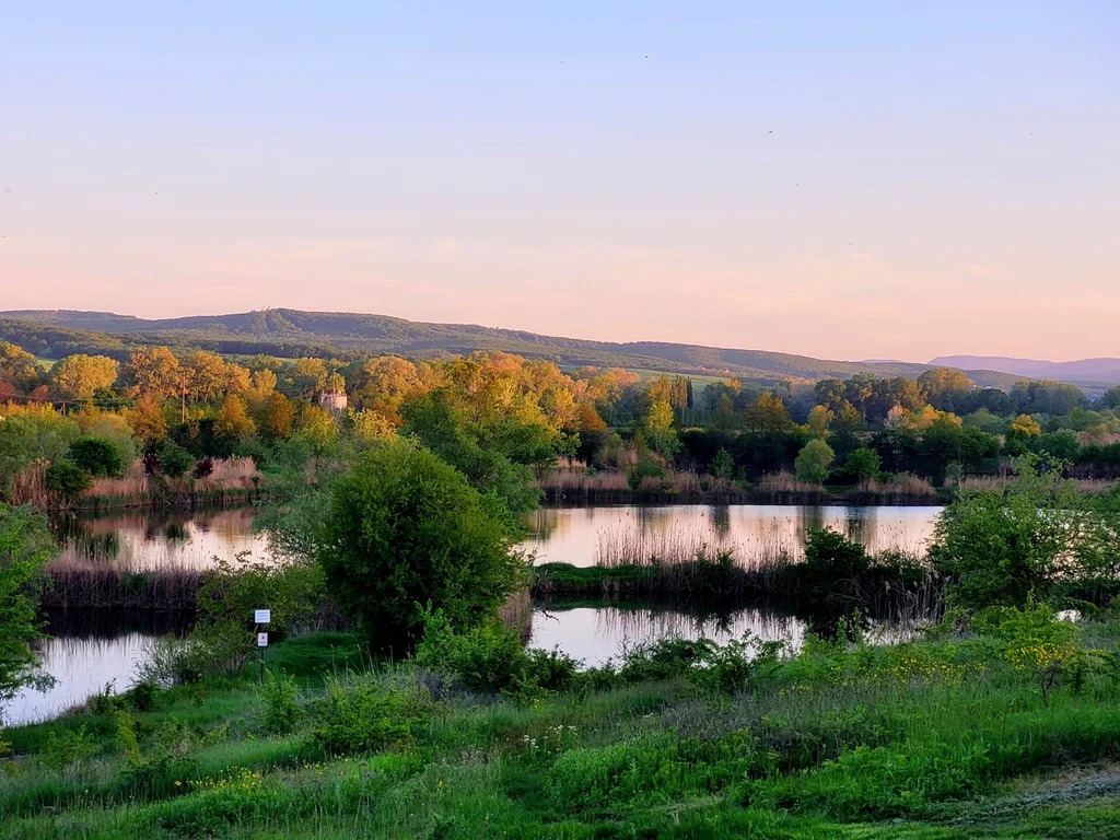 Продажа участка, Северская, Северский район - Фото 8