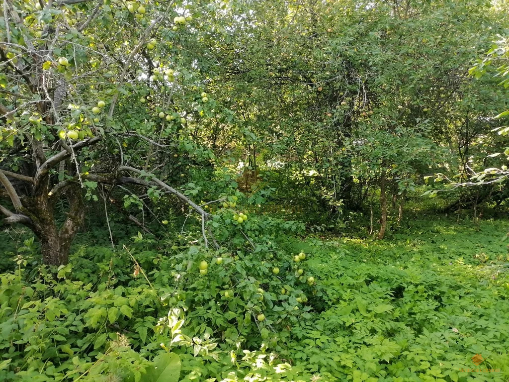 Купить Дачу На Столбовой Чеховский Район
