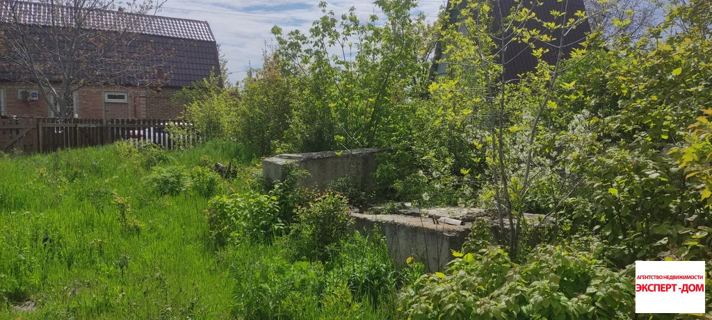 Продажа участка, Мержаново, Неклиновский район, Голубые ели сад - Фото 9