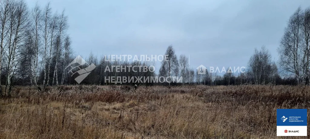 Продажа участка, Рязанский район - Фото 5