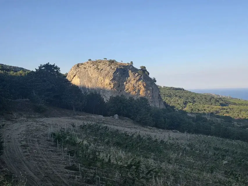 Видовой участок на море и горы, ИЖС, Ялта, Краснокаменка,Крым - Фото 3