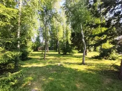 Участок 20 сот. (СНТ, ДНП) - Фото 20