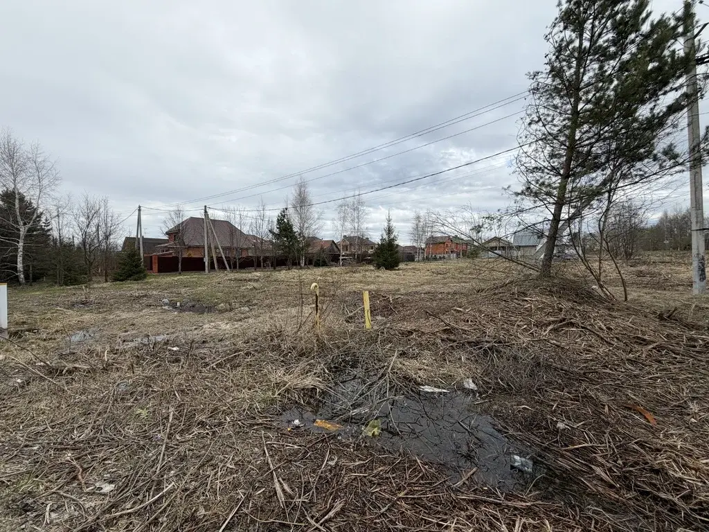Участок в деревне Холмы - Фото 3
