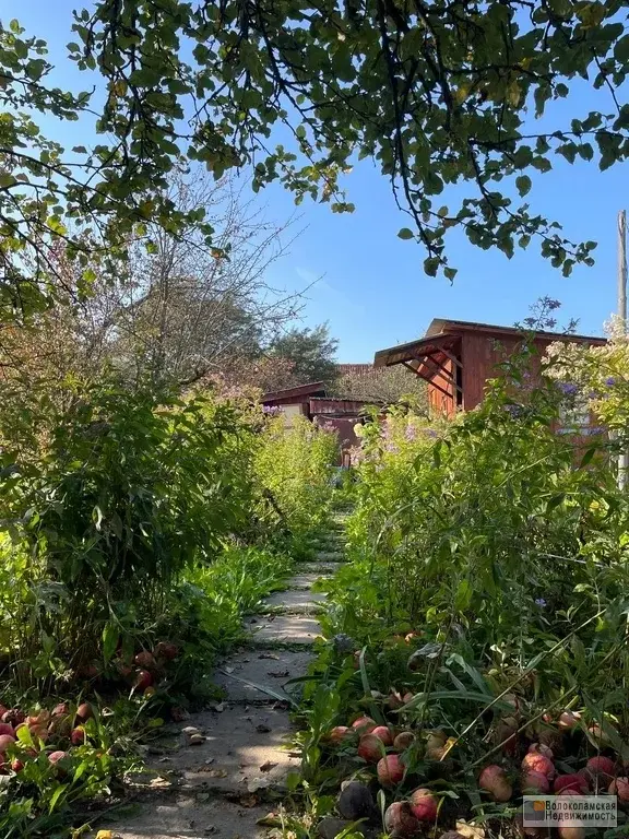 Брусовая дача в садовом товариществе «Кристал» 125 км от МКАД - Фото 24