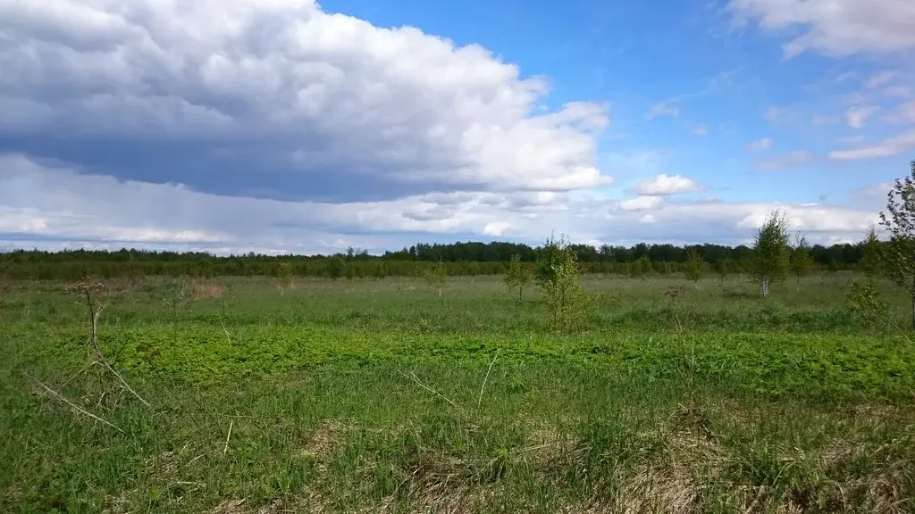 2 Дома на участке, участок у леса, 2 соседа. Большой дом 6 х 6 из брус - Фото 19