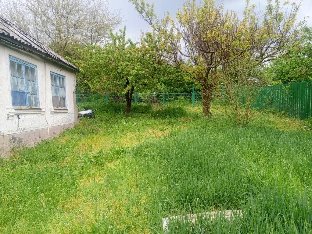 Продажа дома, Темрюк, Темрюкский район, ул. Мира - Фото 17