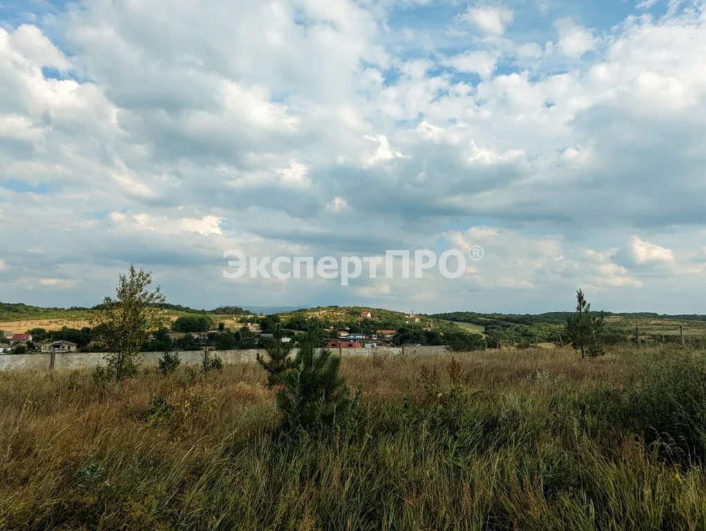 Продажа участка, Клиновка, Симферопольский район, ул. Родниковая - Фото 6