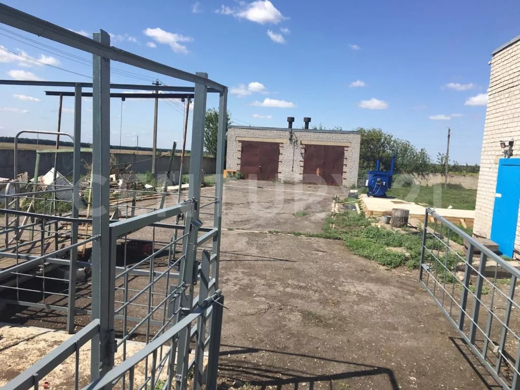 Продажа производственного помещения, Крутое, Добровский район, ул. ... - Фото 2