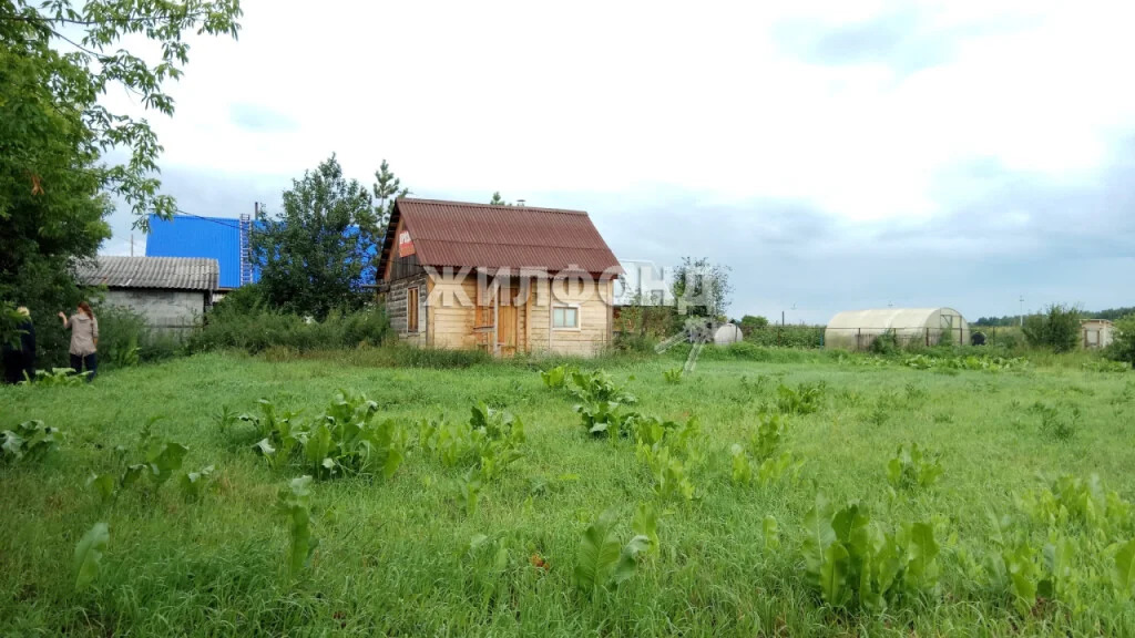 Продажа дома, Верх-Ирмень, Ордынский район, Максима Горького - Фото 0