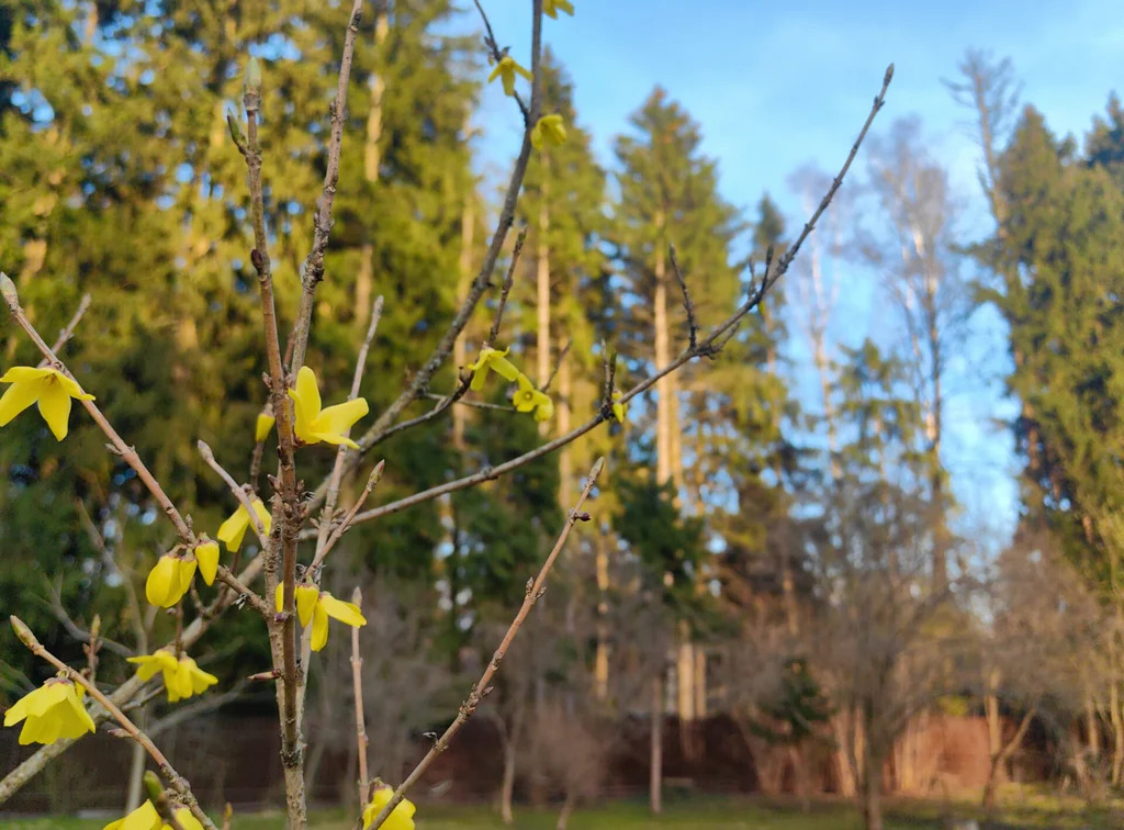 Продажа участка, Апрелевка, Наро-Фоминский район, ул. Кутузова - Фото 36