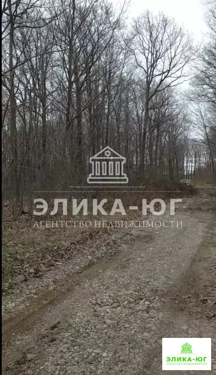 Продажа участка, Новомихайловский, Туапсинский район, Лесной-мкр. - Фото 1