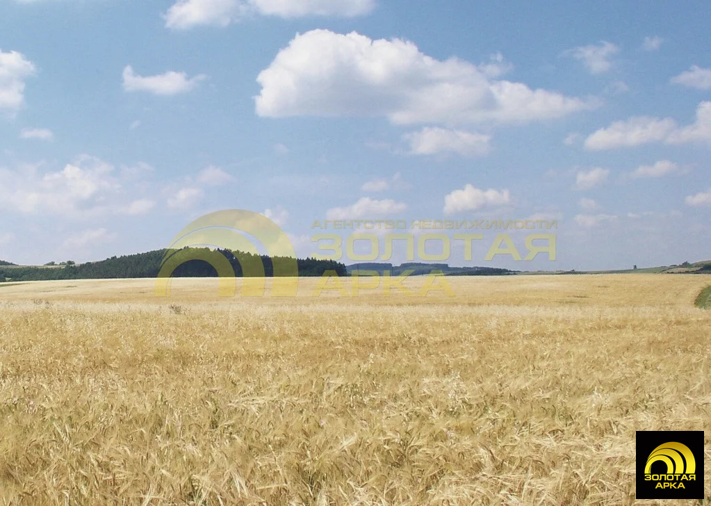 Продажа участка, Старотитаровская, Темрюкский район - Фото 3