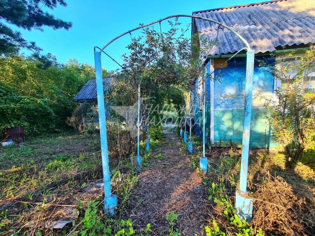 Купить Дачу В Приморье Г Балаково