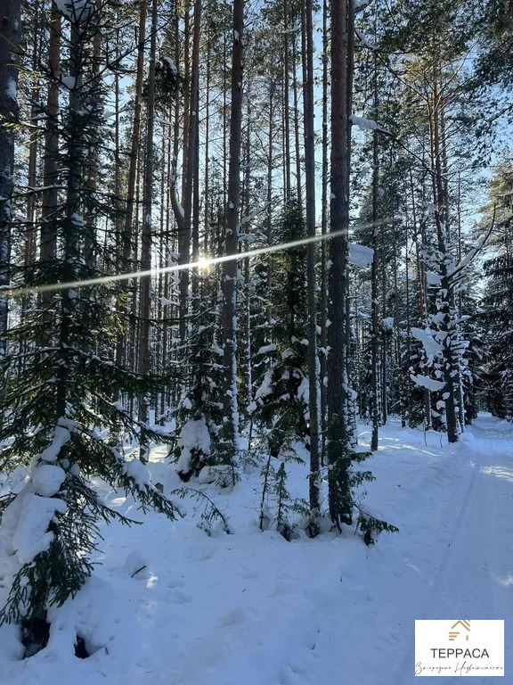 Продажа дома, Борисово, Бокситогорский район - Фото 4