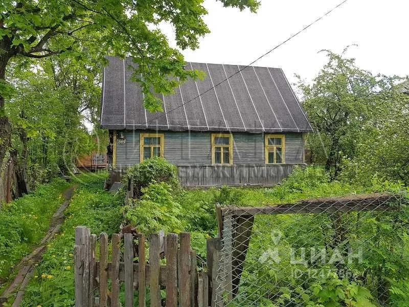 Ломоносовский район п. Мартышкино Ломоносовский район. Ломоносов Мартышкино. П Мартышкино Ленинградская область. Мартышкино дача.