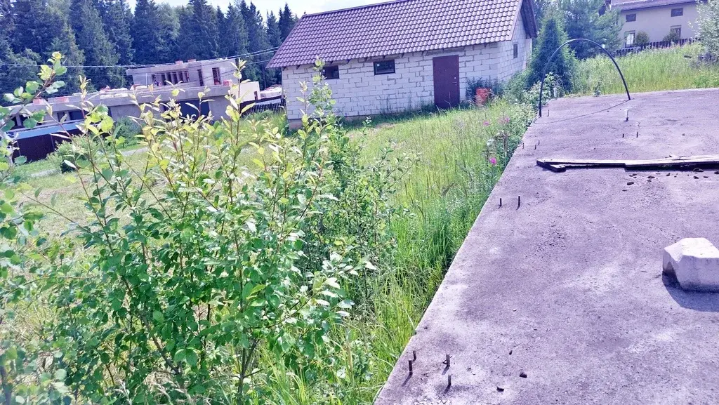 Земельный участок у леса КП Тироль - Фото 23