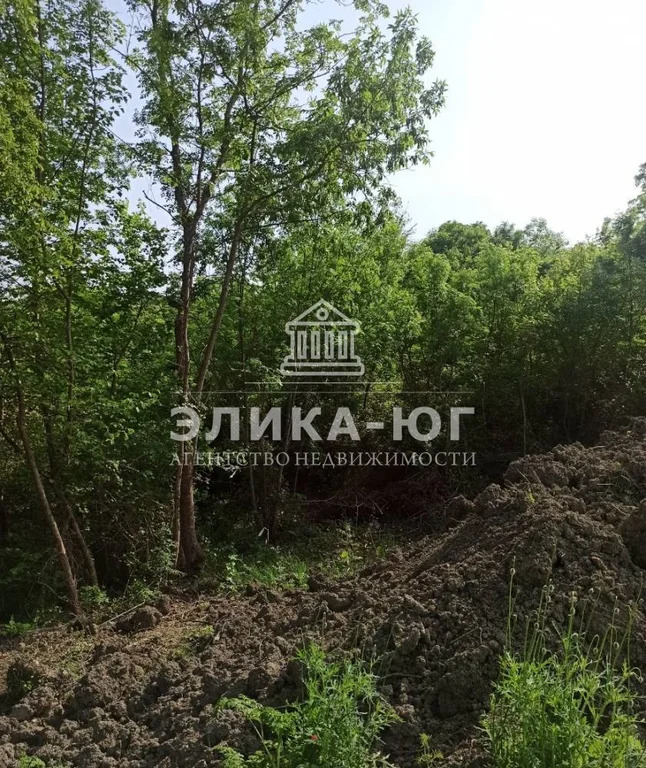 Продажа участка, Бжид, Туапсинский район, мкр. Юг - Фото 3