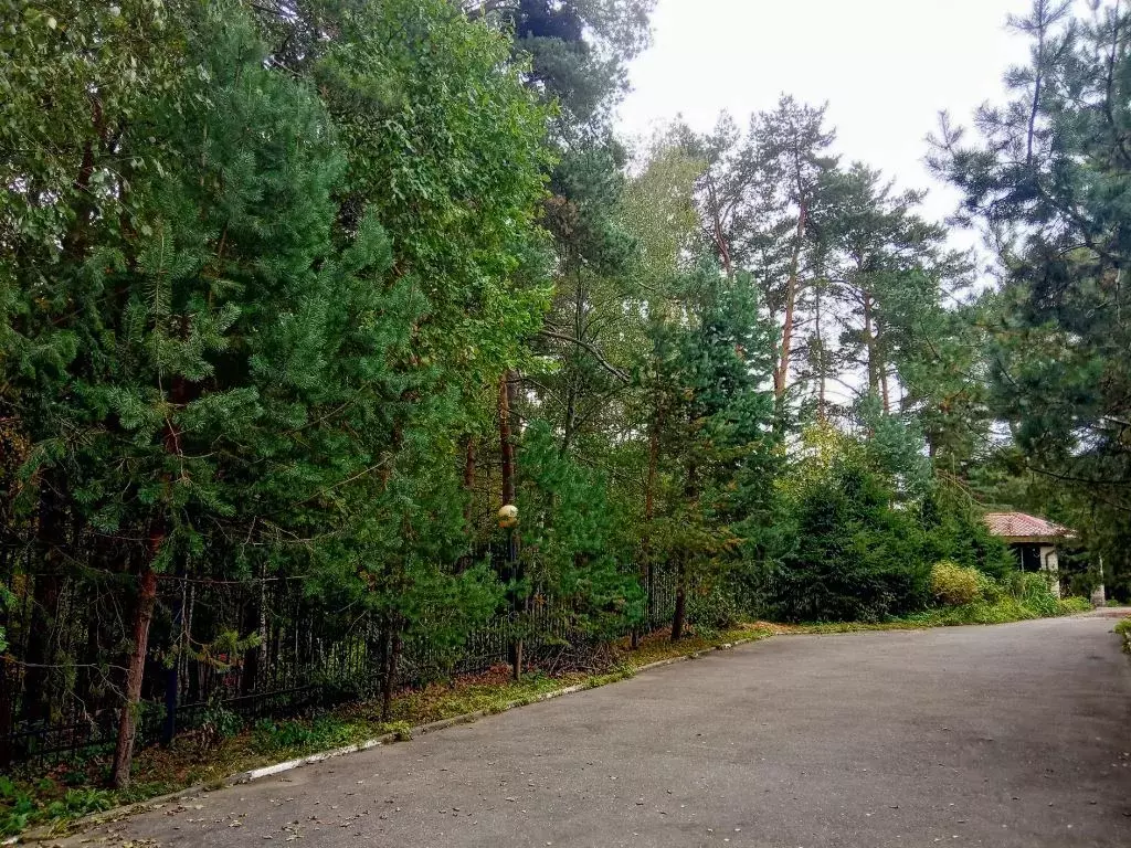 Лесной участок со склоном на Рублевке, рельефный с панорамными видами - Фото 3