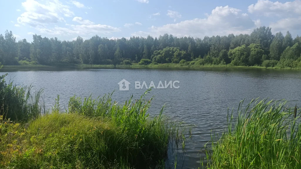 Судогодский район, село Картмазово,  земля на продажу - Фото 34