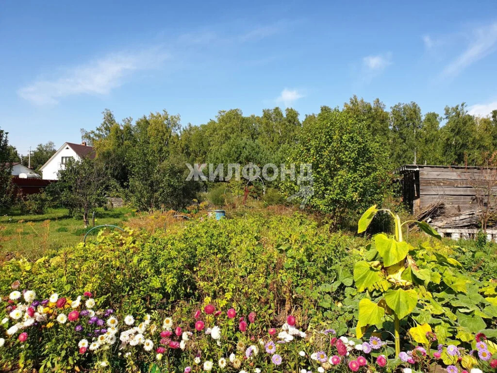 Продажа дома, Боровое, Новосибирский район, Светлая - Фото 25
