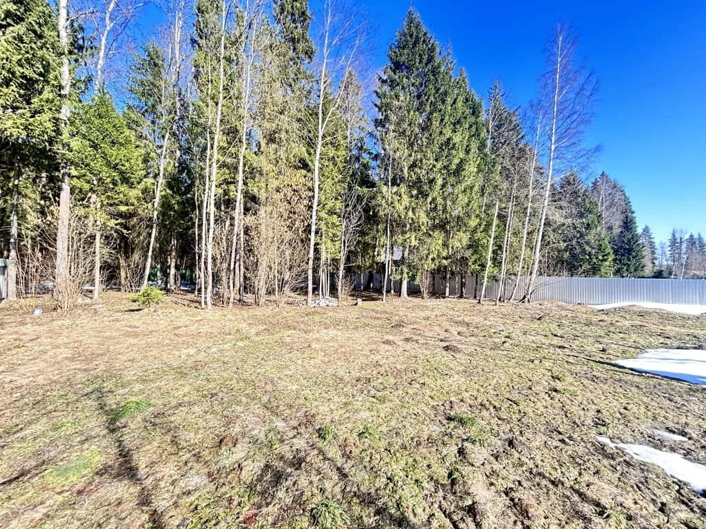 Продажа участка, Дмитровский район - Фото 2