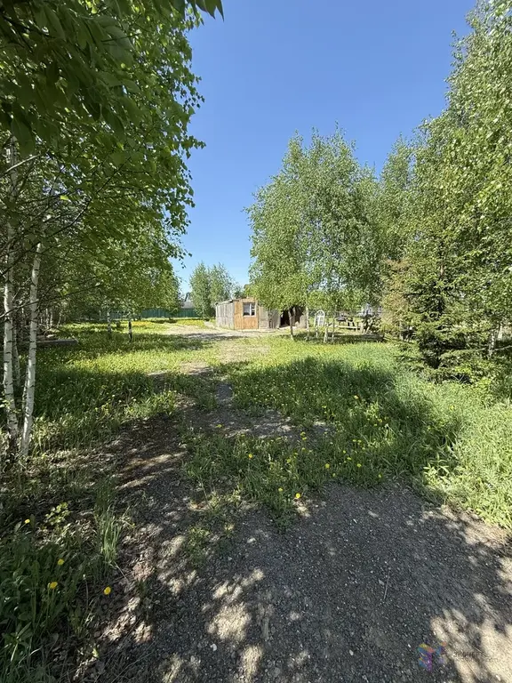 Продаю участок ясные зори - Фото 3
