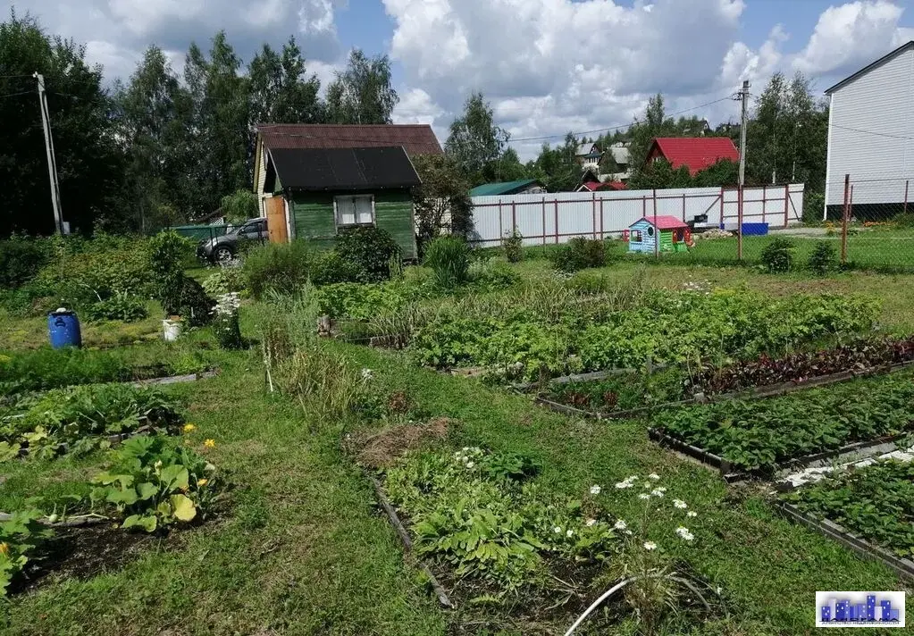 Г Оренбург Купить Дачу В Снт Родник