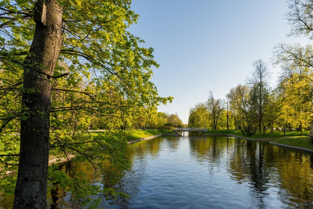 Продажа квартиры, м. Крестовский остров, Санаторная аллея - Фото 5