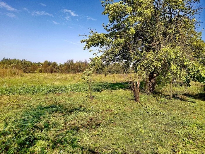 Продажа дома, Мингрельская, Абинский район, Ул. Демьяна Бедного - Фото 8