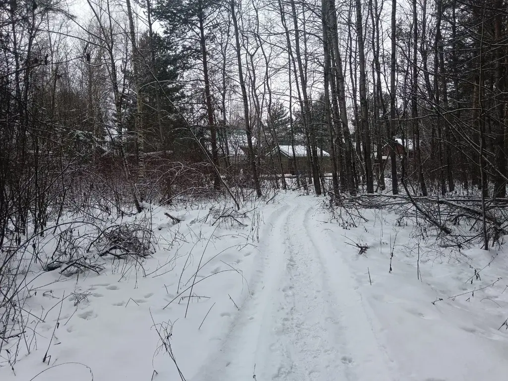 Продам земельный участок 19 соток в д.Чиверево, г.о. Мытищи - Фото 9