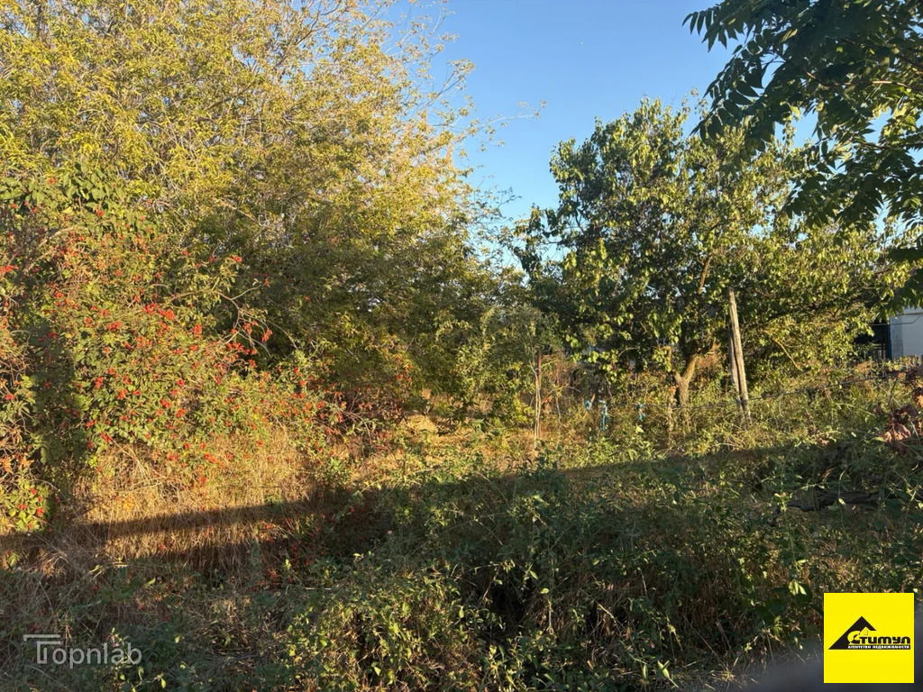 Продажа дома, Должанская, Ейский район, ул. Коллективная - Фото 2