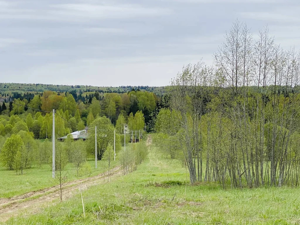 Продажа участка, Горбово, Дмитровский район - Фото 1