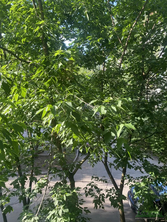 Продажа квартиры, Королев, ул. Пионерская - Фото 11