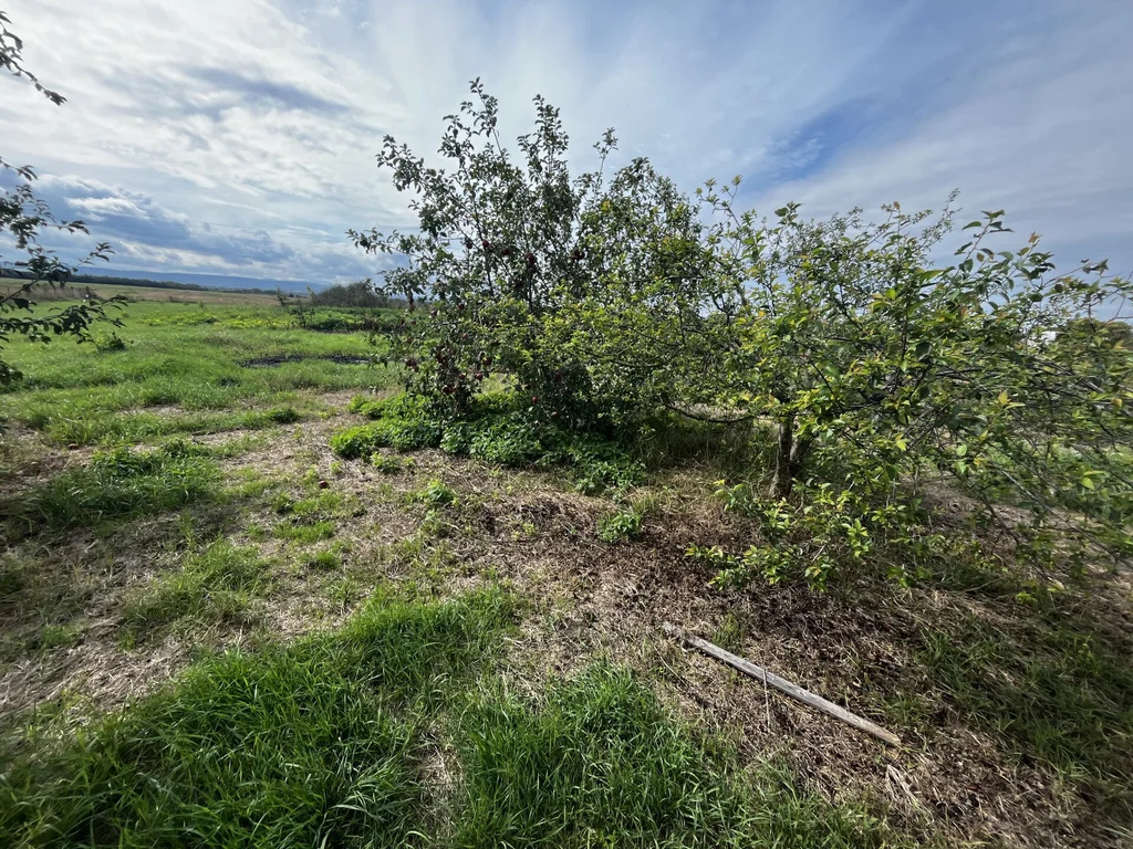 Продажа дома, Новопетровский, Северский район, ул. Энгельса - Фото 19