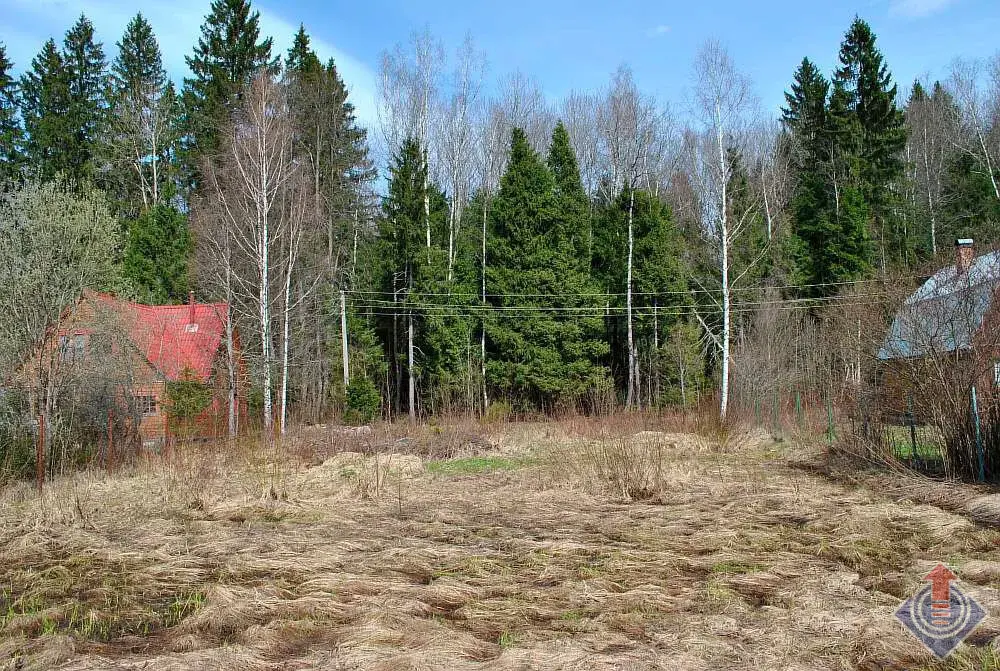 Участок у леса в СНТ Движенец, д. Савеловка, Наро-Фоминский район - Фото 2