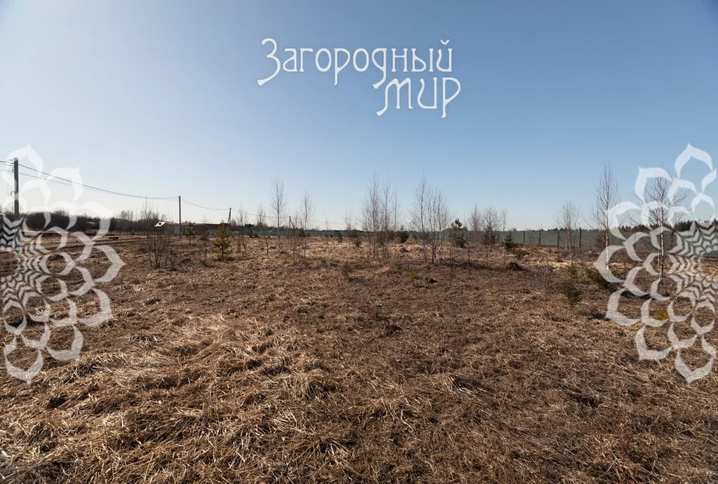 Продам участок, Волоколамское шоссе, 35 км от МКАД - Фото 5
